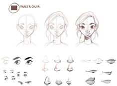 various facial expressions and shapes for the character's head, including eyes, nose, mouth