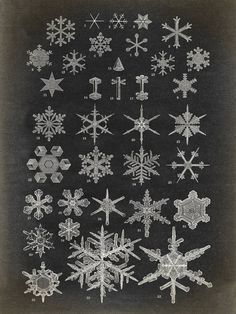 an old black and white photo of snowflakes