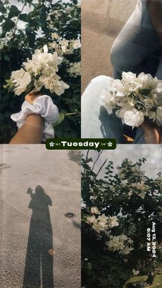 four different pictures with the same person holding flowers in their hands and shadows on them