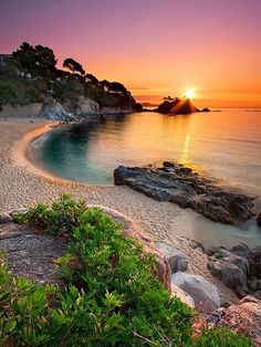 the sun is setting over an ocean with rocks and plants