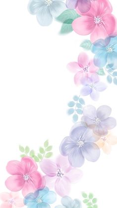 colorful flowers on a white background with space for the wording in the bottom right corner