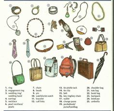 an image of different types of purses and handbags on white paper with blue border