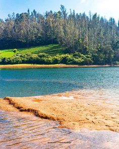 there is a small lake in the middle of some land with trees and grass on it