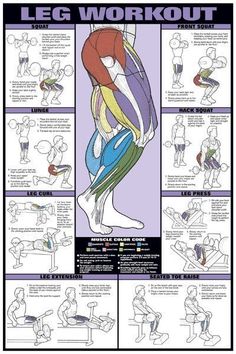 a poster with instructions on how to do an arm curl