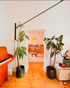 a living room filled with lots of potted plants next to a wooden piano keyboard