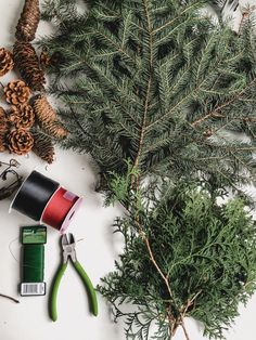 some pine cones, scissors and thread on a white surface with evergreen needles in the background