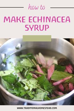 a pot of water with plant matter in it Echinacea Recipes, Herbalist Remedies, Glowing Skin Remedies, Herbs And Uses, Natural Pharmacy, Learn A Skill, Herbs And Their Uses