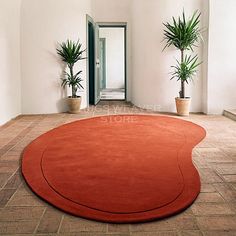 an orange rug in the middle of a room with potted plants on either side