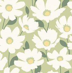 Astera Green Floral Wallpaper Grey Floral Wallpaper, Green Floral Wallpaper, Brewster Wallpaper, Zestaw Ikon, Mint Green Aesthetic, Sage Green Wallpaper, Pastel Design, Green Pictures, Green Theme