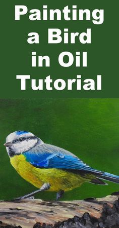 painting a bird in oil is an easy step - by - step guide for beginners