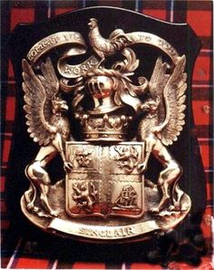 an emblem on the back of a coat of arms