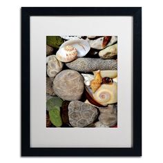 an image of seashells on rocks in the water framed art print by person