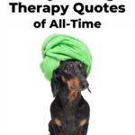 a black and brown dog with a green towel on its head sitting in front of a white background