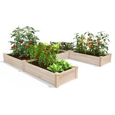 three wooden planters filled with different types of vegetables and plants growing in them on a white background