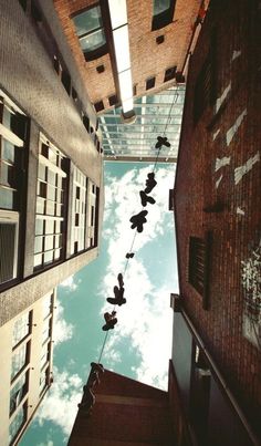 looking up at the sky from between two buildings with birds flying in front of them