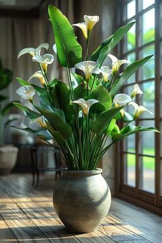 a vase filled with white flowers sitting on top of a wooden floor next to a window