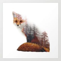 a red fox sitting in the middle of a forest with trees on it's side