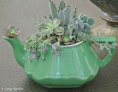 a green tea pot filled with succulents on top of a table