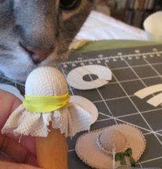 a cat is playing with a doll made out of clothes