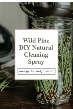 wild pine diy natural cleaning spray in a mason jar with text overlay reading wild pine diy natural cleaning spray