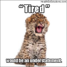 Friday Funny, Friday Humor, Health Education, Big Cats, Make Me Smile, Funny Stuff, Nursing, Cute Animals, Medical