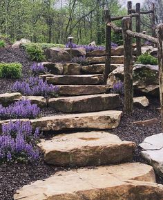 stone steps lead up to purple flowers in the woods