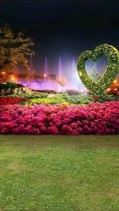 there is a large heart shaped sign in the middle of a flower garden at night