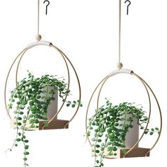 two hanging planters with green plants in them