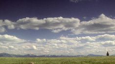 a man riding a horse across a lush green field under a blue sky with white clouds