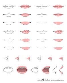 different types of lips and their shapes