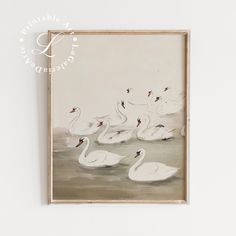 there are swans swimming in the water on this framed wall art print, which is also available for framing