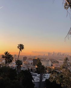 the city skyline is seen at sunset with palm trees