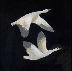 three white birds flying in the dark sky