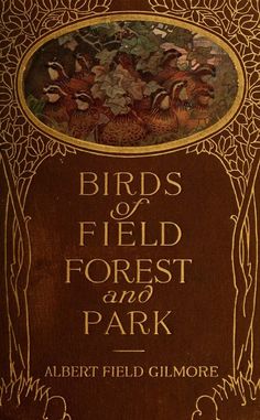 birds of field forest and park by albert field gitmore