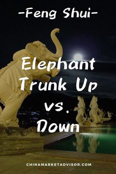 an elephant trunk up versus down in front of a pool at night with the moon behind it