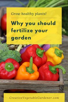 a wooden crate filled with lots of different types of vegetables and the words grow healthy plants why you should fertiize your garden