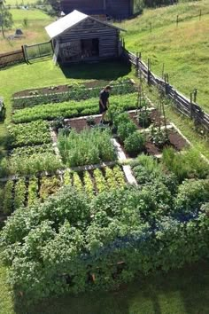 an aerial view of a vegetable garden in the country