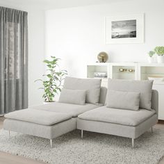 a living room with a couch, rug and potted plant