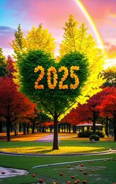 a heart - shaped tree with the number 205 written on it in front of a rainbow