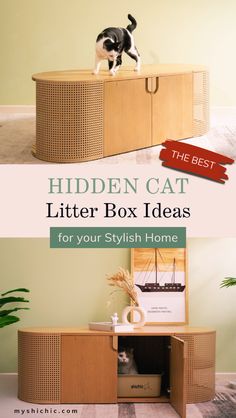 Keep your living space pet-friendly with innovative cat litter box furniture that hides litter boxes in style. These space-saving designs fit perfectly into small rooms, bathrooms, laundry areas, or under stairs, blending effortlessly with your home's decor, keeping your place odor-free, and ensuring your litter boxes are dog-proof. Whether you have one cat or multiple, these hiding cat litter box ideas keep your home fresh and organized. Find more indoor cat litter box ideas at myshichic.com Hidden Cat Litter Box Ideas