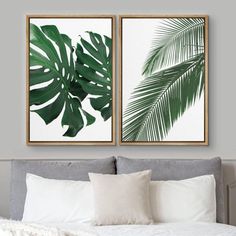 two green palm leaves hanging above a bed