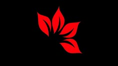 a red flower on a black background