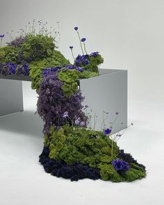 an artistic sculpture made out of moss and purple flowers is displayed on a white surface