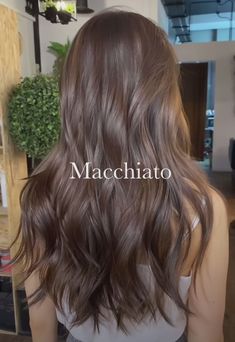 Dark Warm Brown Hair, Ash Hair Color, Brunette Hair With Highlights, Brunette Balayage Hair, Brown Hair Balayage, Light Hair Color