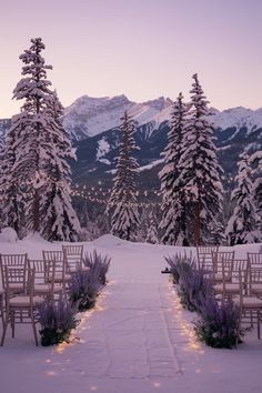 an outdoor ceremony set up in the snow with purple flowers and lavenders on the aisle