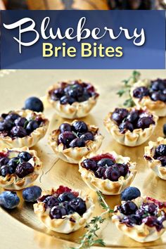 small blueberry pies are arranged on a plate