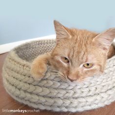 an orange tabby cat laying in a basket on top of a wooden floor next to a wall