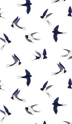 a flock of birds flying across a white sky filled with lots of blue and red