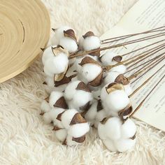 cotton flowers are sitting next to an open book on a fluffy white carpeted floor