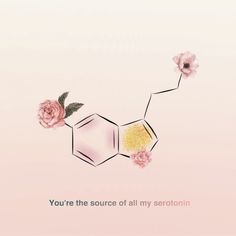 a pink background with two flowers and the words you're the source of all my serotonin